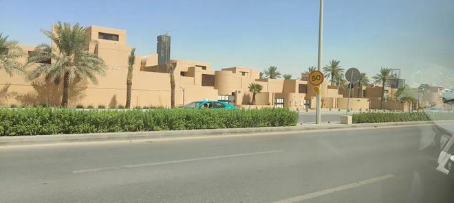 了3天：距离中国7000公里遍地黄金与荆棘CQ9电子平台网站我在最土豪的游戏市场待(图28)